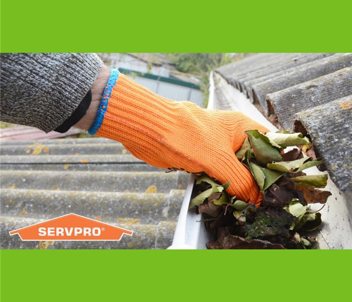 SERVPRO logo -gutter clean