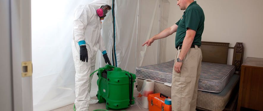 Sugar Land, TX mold removal process